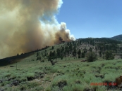 Fairfield Fire 2013